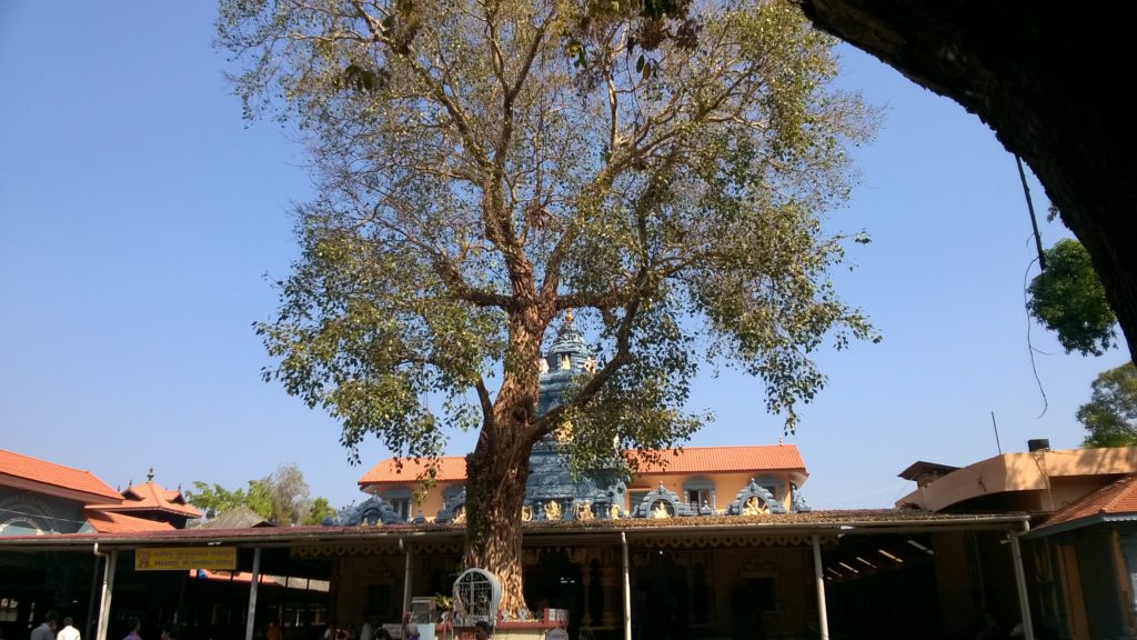 Shri Vinayaka Temple, Anegudde