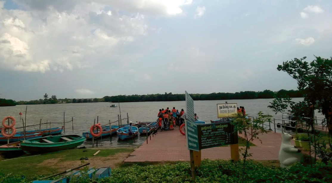Boating facilities at Pichavaram Mangroves