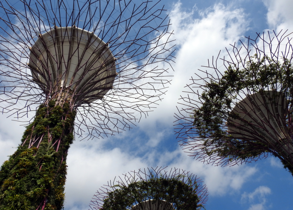 Supertrees at Gardens by the Bay