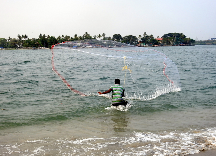 A fisherman casts a net at Fort Kochi's beach