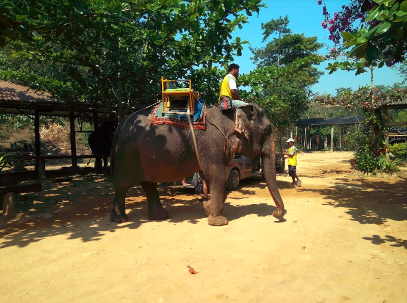 Elephant Ride at Chang Chutiman Tours