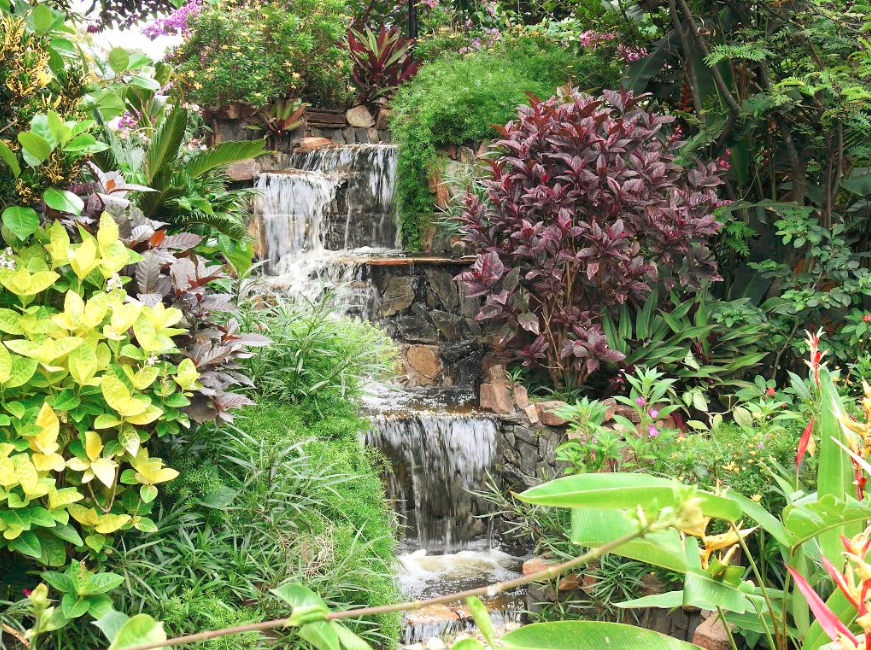 Waterfalls in the garden