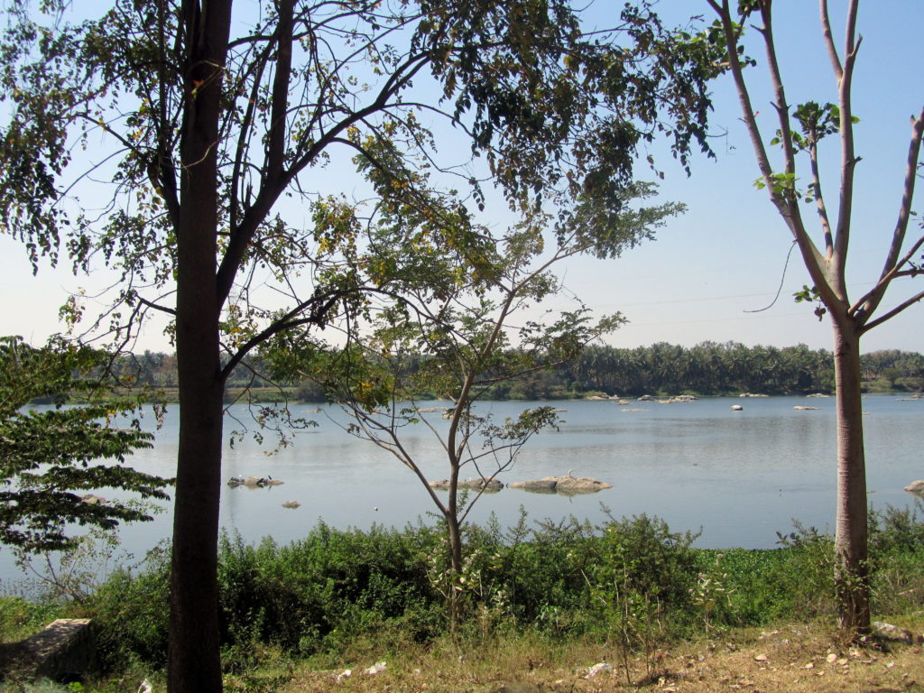 River Cauvery seen through trees