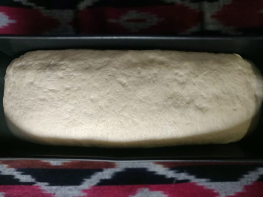 Step 6: the risen dough has covered the entire mold