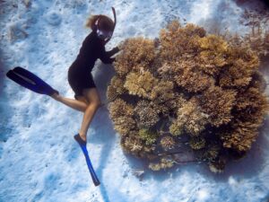 Reefscapers - coral frame monitoring