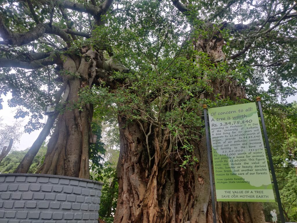 Nilgiri Biosphere Nature Park at Anaikatti, Coimbatore.