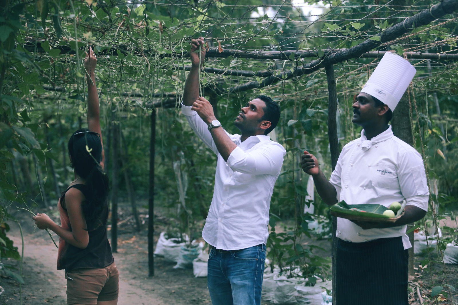 Reinventing Farm To Fork - Bindu Gopal Rao, Freelance Writer & Photographer