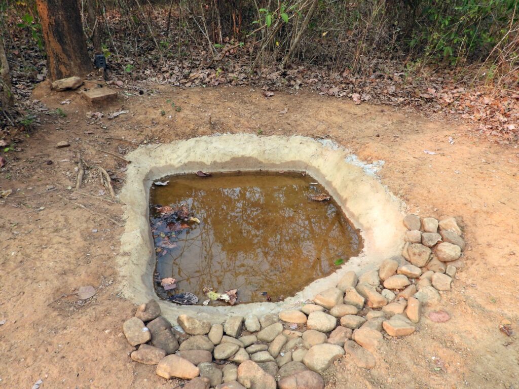 A waterhole dug by the Planet Life Foundation