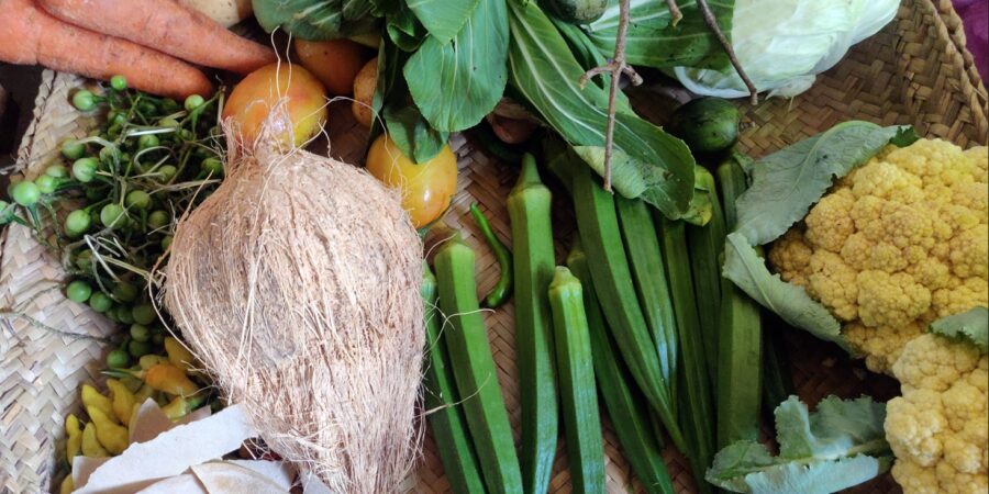 Fresh organic produce at Jetwing Vil Uyana