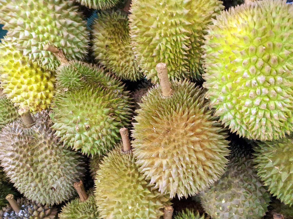 Durian - Image Credit Pixabay