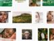 Regenerative and preventive beauty treatments