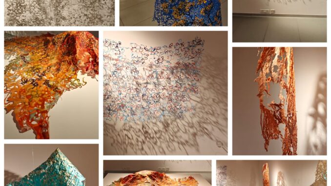 Ravi Kashi's 'We don’t end at our edges' at MAP Bengaluru