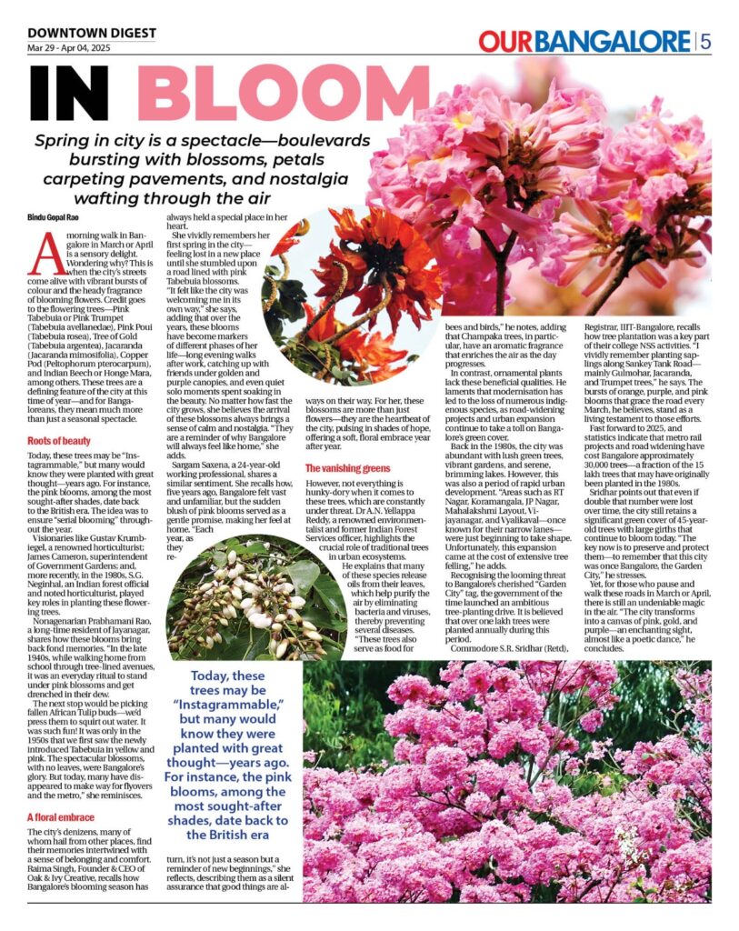 Bangalore Blooms
