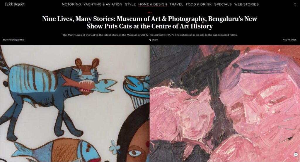 MAP - The Many Lives of the Cat