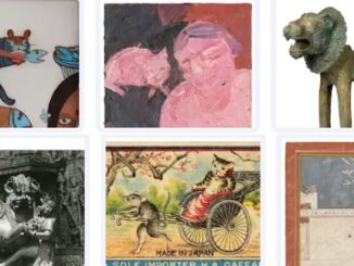 MAP - The Many Lives of the Cat