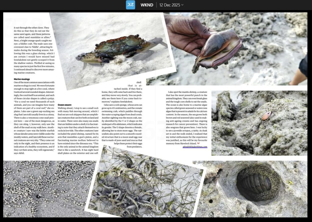 Intertidal walk at CGH Earth Tilar Siro in Havelock Island