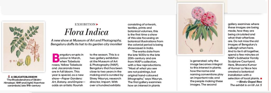 Paper Gardens: Art, Botany, and Empire at MAP Bengaluru